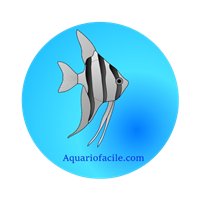 Logo aquariofacile
